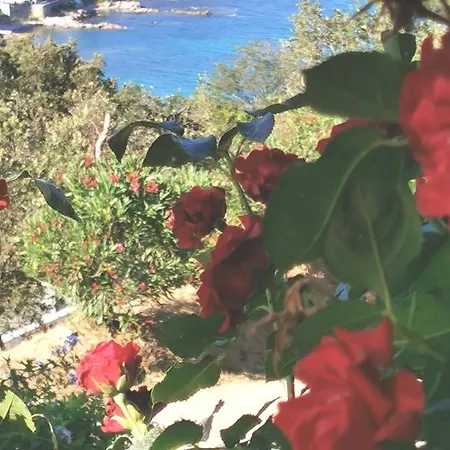 Magnifique - Superbes Vues Et Montagne Villa