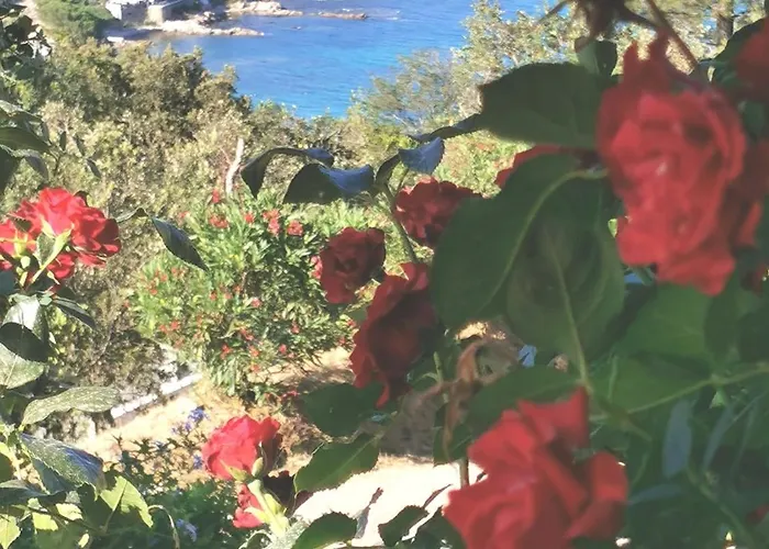 Magnifique - Superbes Vues Et Montagne Vila